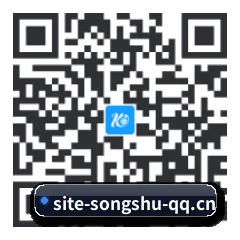 系统版 iOS 二维码
